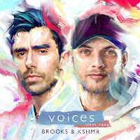 Voices (Feat. Tzar)