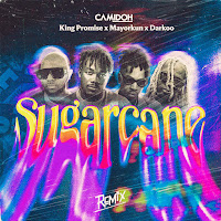 Camidoh, Mayorkun, Darkoo