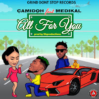 Camidoh, Medikal