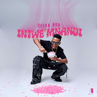 Iy' Ndaba Zayizolo (Feat. Leemckrazy, Tyler Icu & Cowboii)