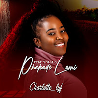 Phakade Lami (Feat. Sdala B)