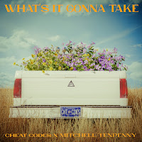Cheat Codes, Mitchell Tenpenny