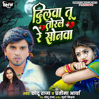 Dilwa Tu Torle Re Sanwa