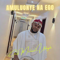 Chief Michael Udegbi