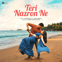 Teri Nazron Ne