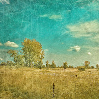 Connor Price, Graham