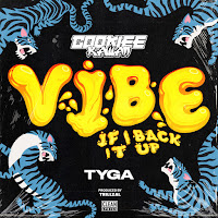 Vibe (If I Back It Up) [Trillzal Remix]