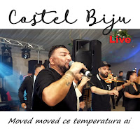 Moved Moved Ce Temperatura Ai (Live)