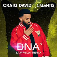 Dna (Sam Feldt Remix)