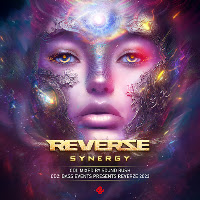 D-Sturb, Vertile