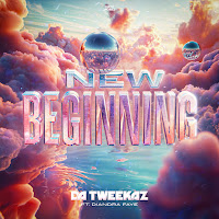 New Beginning (Feat. Diandra Faye)