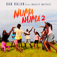 Numa Numa 2 (Feat. Marley Waters)