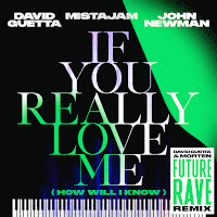 If You Really Love Me (How Will I Know) [David Guetta & Morten Future Rave Remix]