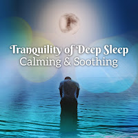 Deep Sleep Hypnosis Masters