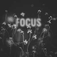 Focus (Feat. Lena Leon)