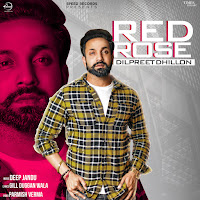 Red Rose