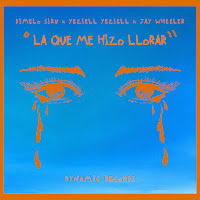 La Que Me Hizo Llorar