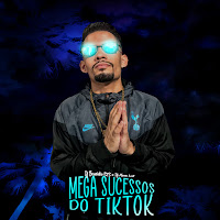 Mega Sucessos Do Tik Tok (Feat. Dj Mano Lost)