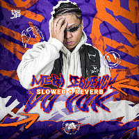 Mega Sequencia Do Vuk (Slowed + Reverb)
