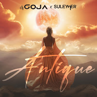 Dj Goja