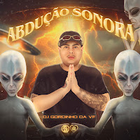 Dj Gordinho Da Vf