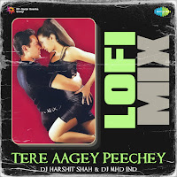 Tere Aagey Peechey (Lofi Mix)