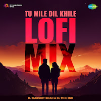 Tu Mile Dil Khile (Lofi Mix)