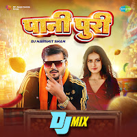 Paani Puri - Dj Mix