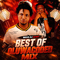 Best Of Oluwacoded (I)