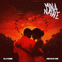 Mina Nawe (Feat. Nicco Nk)