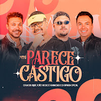Mtg Parece Castigo