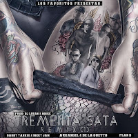 Tremenda Sata (Remix) (Feat. Daddy Yankee, Nicky Jam, Arcangel & De La Ghetto &Amp)