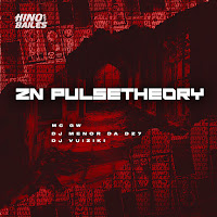 Zn Pulsetheory