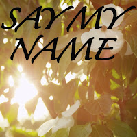 Say My Name (Tribute To David Guetta)