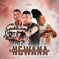 Dj Skizoh Bw, Dj Kap, Queenthee Vocalist