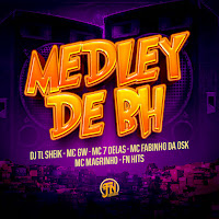 Dj Tl Sheik, Mc Gw, Mc 7 Delas, Fn Hits