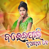Bareipali Nuapada Ne