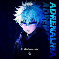 Dj Vitinho Acerola, Pp Hits
