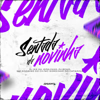 Sentada Da Novinha (Feat. Mc Gordinho Do Catarina)
