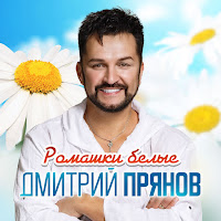 Ромашки Белые