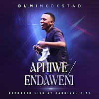 Dumi Mkokstad