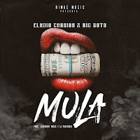 Mula