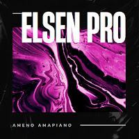 Elsen Pro