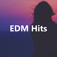 Last Summer (Feat. Troi Irons)
