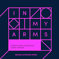 In My Arms (Meduza Extended Remix)