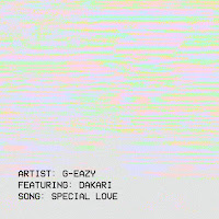 Special Love (Feat. Dakari)