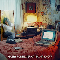 Gabry Ponte, Erika