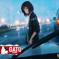 Gato
