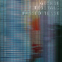 Passed Tense (Feat. Panda Bear)