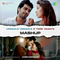Unnaale Unnaale X Tere Vaaste (Mashup)